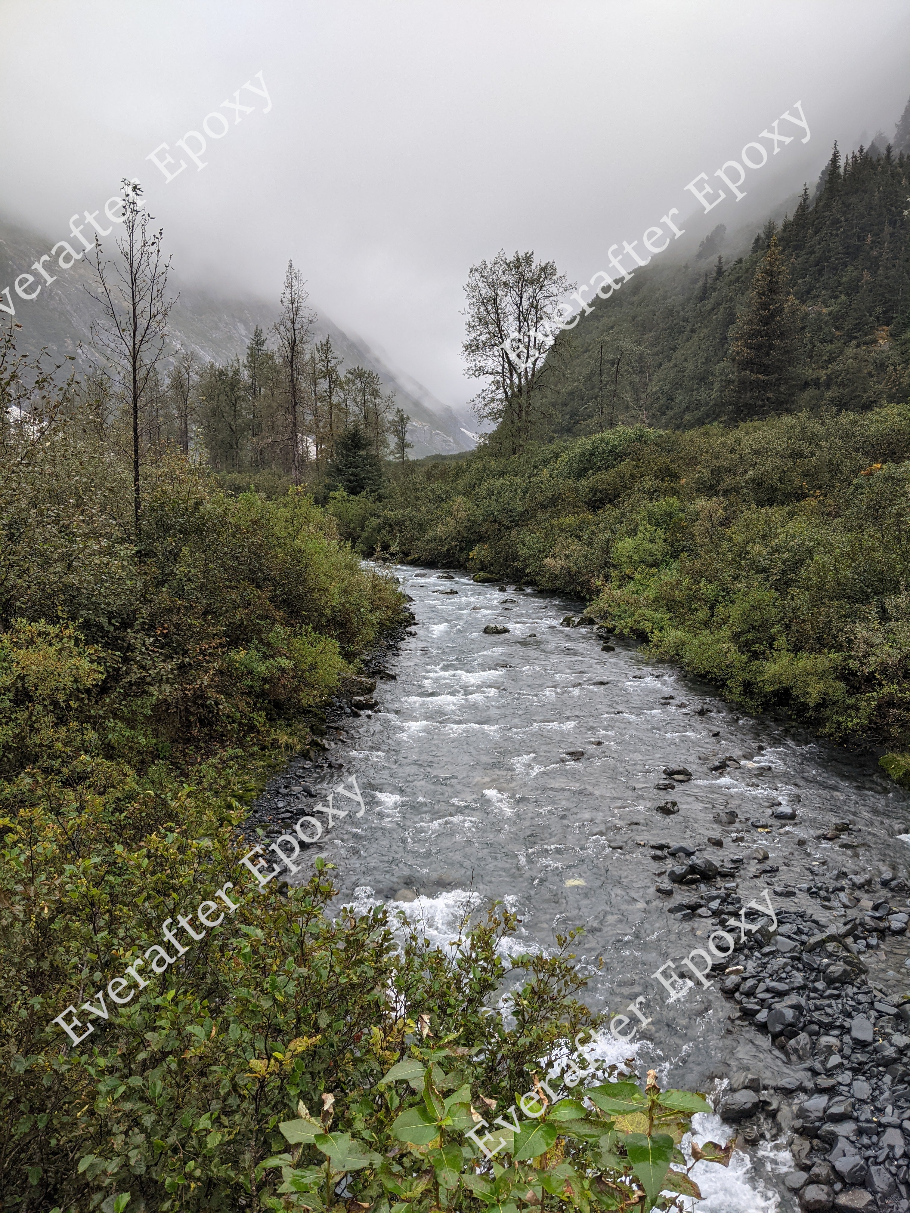 Digital river photo download