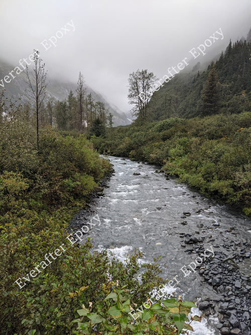 Digital river photo download