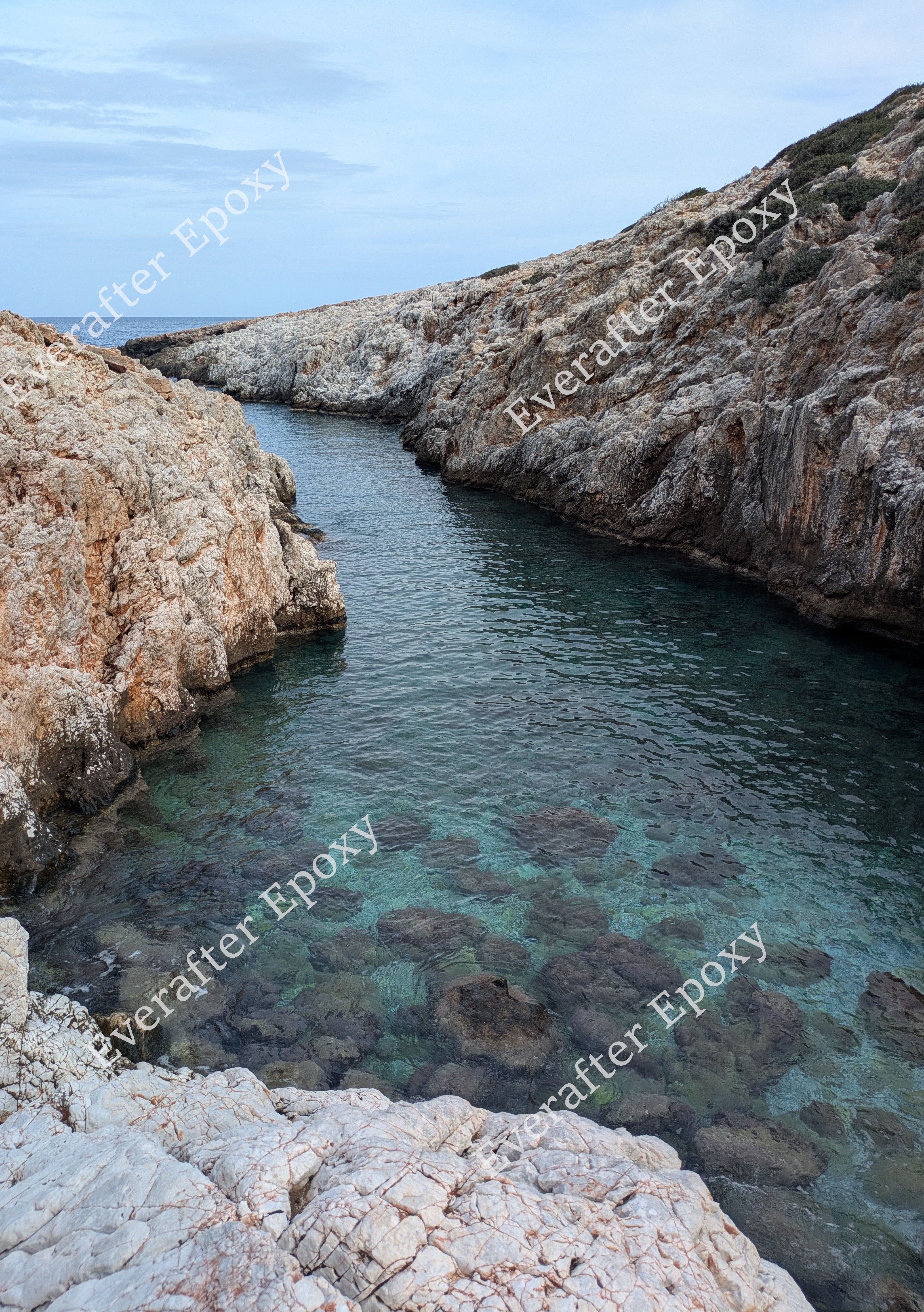 Digital cove photo download